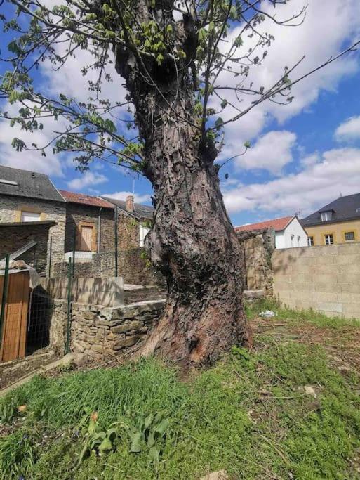 La Cascade verte /Appartement /jardin /parking Braux  Extérieur photo